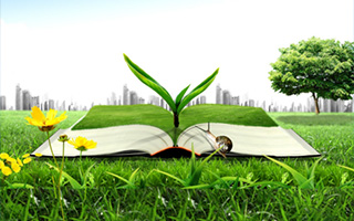 大型撸撸社网站廠家